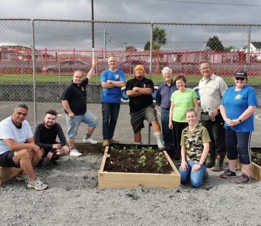 Rotary teams up to help Avondale Primary School’s Garden To Table aspirations